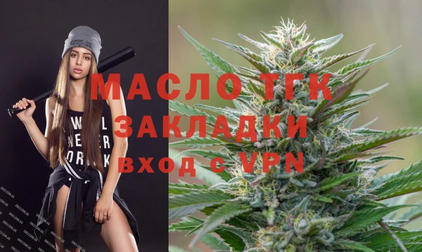 стаф Богородск