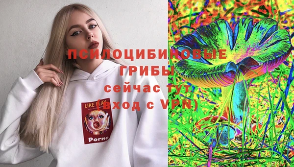 a pvp Богородицк