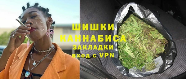 стаф Богородск