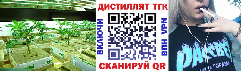 blacksprut tor Черкесск Дистиллят ТГК THC oil магазин