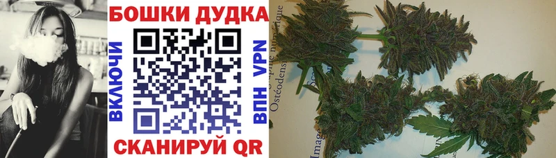 где купить наркоту  Черкесск  Бошки марихуана индика 